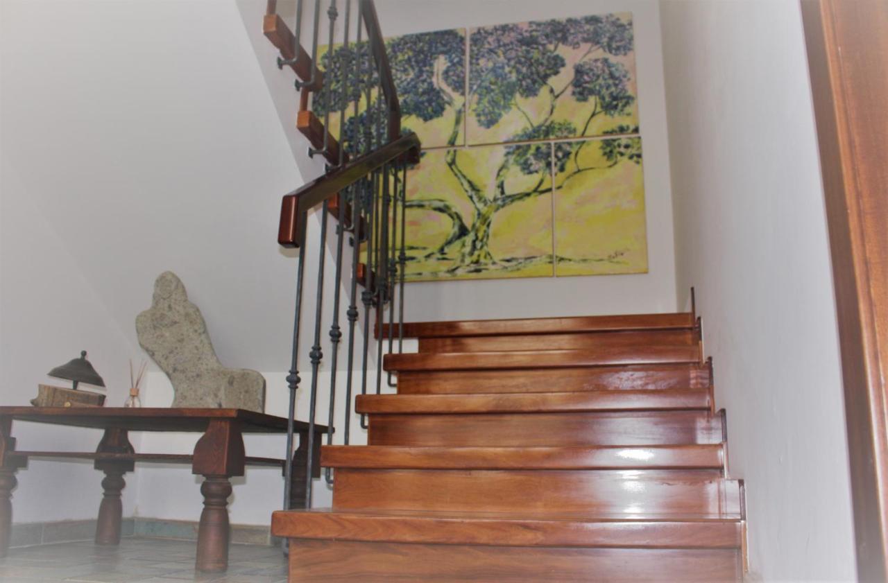 Maruru B & B Dell'Arte Civitanova Marche Dış mekan fotoğraf